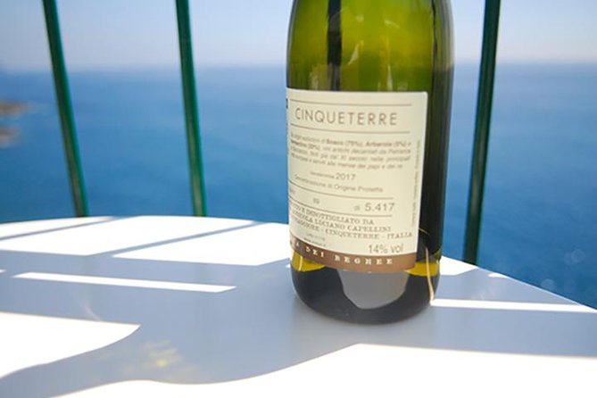 Cinque Terre Wine Tasting and Boat Trip