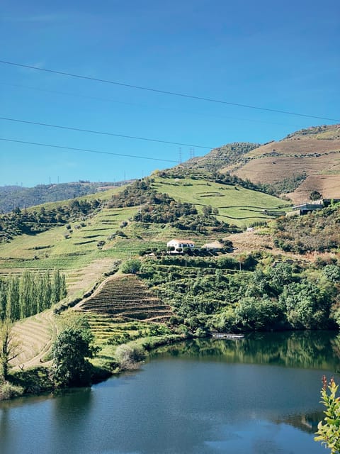 Douro Valley: PRIVATE TOURS With Wine Tasting and Lunch