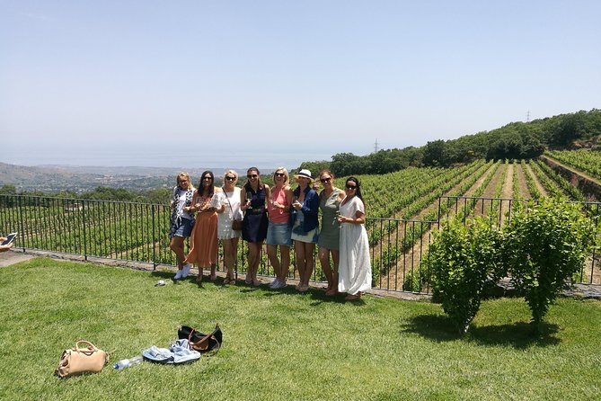 Etna Excursion and Lunch - Wine Tasting in Etna DOC Vinery