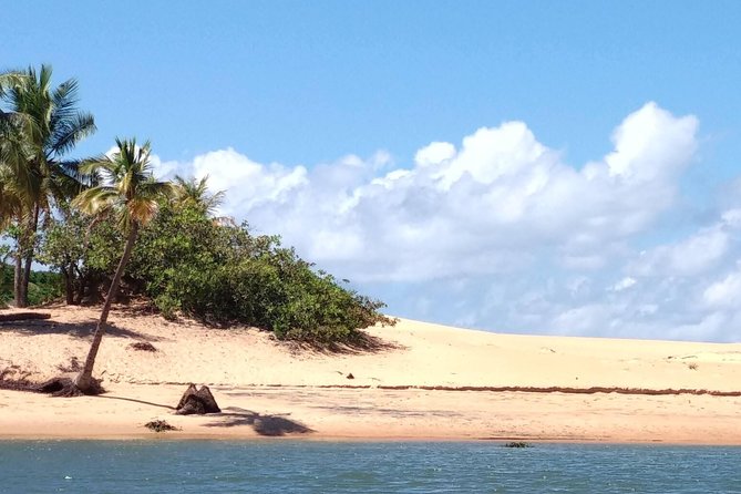 Foz Do Rio São Francisco