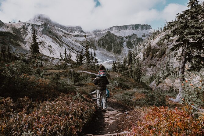 From Seattle – Enchanting Mt Baker and Cascades Tour in SUV