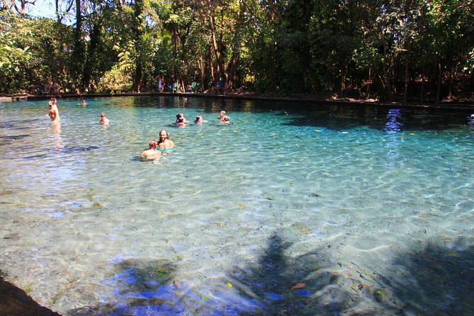 Half-Day Nature Expedition at Ometepe Island - Explore Diverse Wildlife Sightings