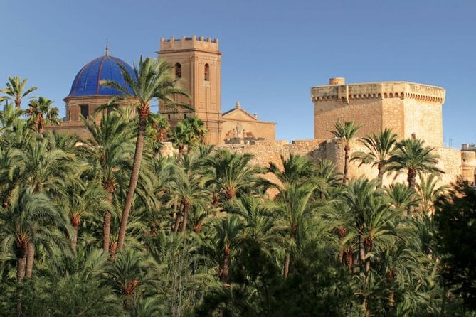 Half Day Private Tour to Elche and Santa Pola