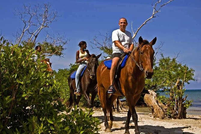 Horseback Ride and Swim Private Tour From Montego Bay - Scenic Countryside Drive
