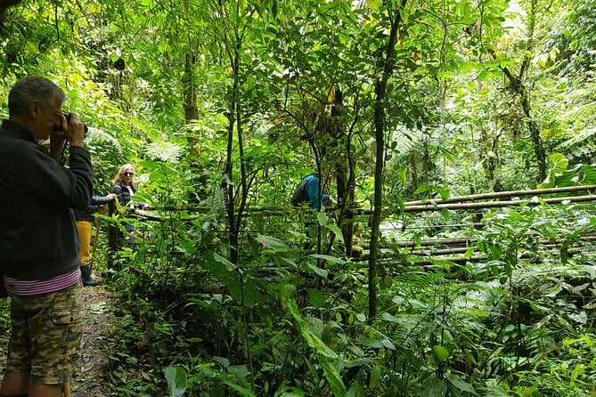 Howler Monkey Tour - Filandia Views And Gastronomy - Key Points