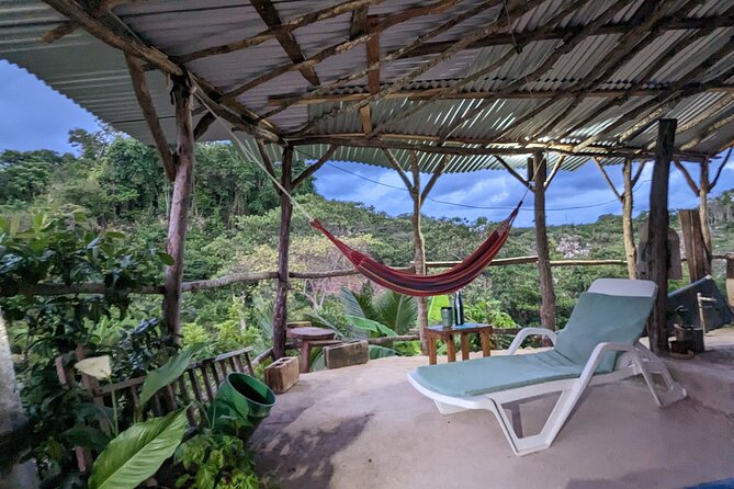 Jamaican Roots Tropical Farm Tour - Taste & Explore (Negril) 2hr - Tour Overview