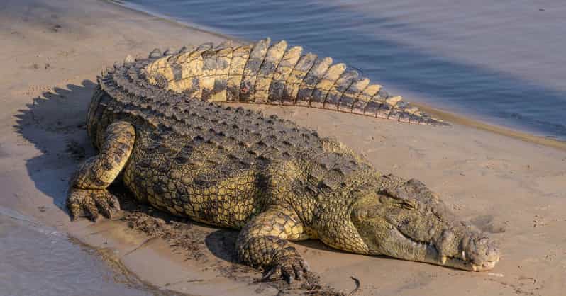 Isimangaliso Boat Safari ½ Day Tour From Richards Bay - Tour Details