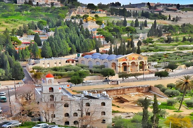 Jerusalem and Dead Sea Private Tour - Inclusions and Experiences