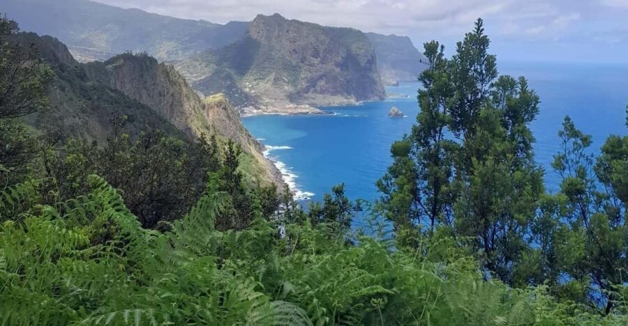 Madeira Larano Walk Half-Day - Activity Overview