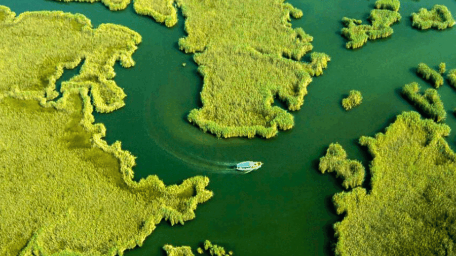 Marmaris: Dalyan, Turtle Beach, and Kizilkum Bay Boat Tour