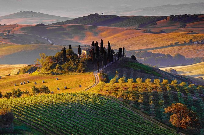 Montalcino and Brunello Wine Private Tour