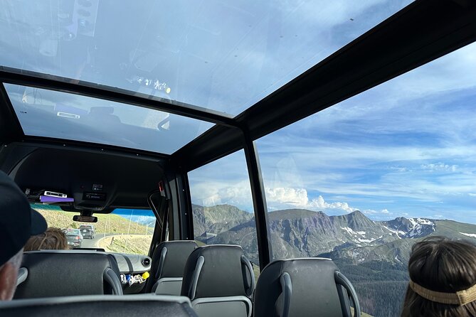 Moosin in May: A Sunset Animal Tour of RMNP