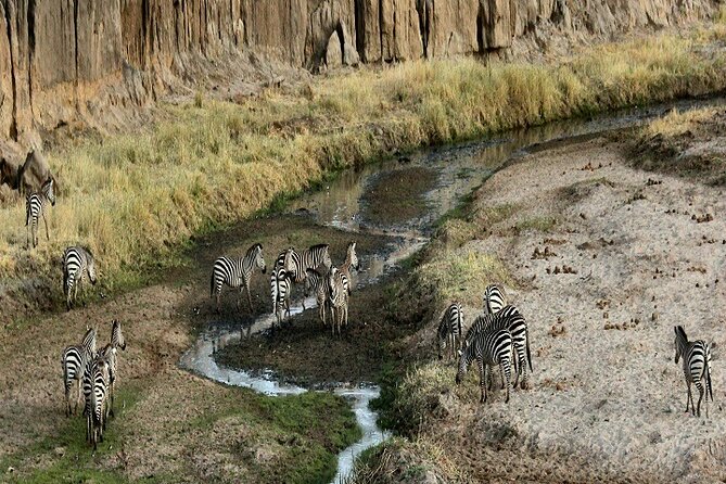 Our Top Best Tanzania Group Safari in 6-Day