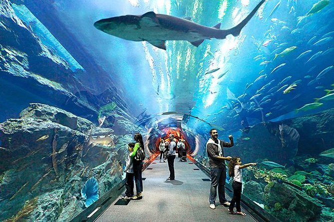 Pattaya Underwater World Aquarium