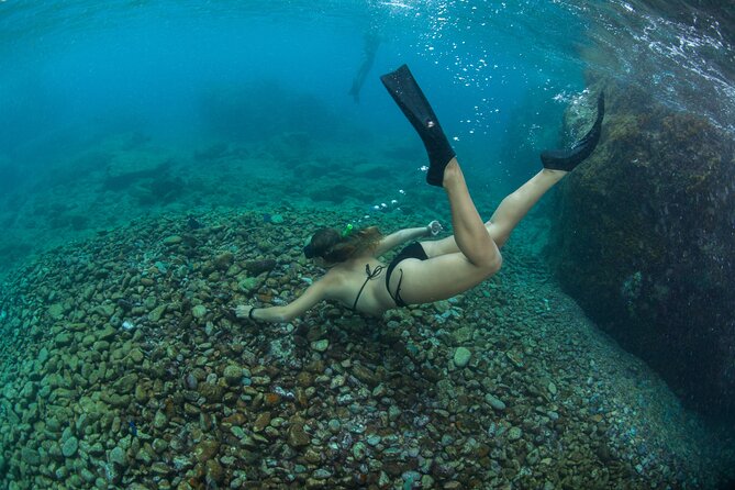 Pizza Pi Snorkel Sail From Frenchmans Reef