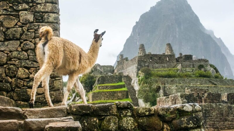 Private 5d Tour | Machu Picchu, Rainbow Mountain | 3☆Hotel - Key Points