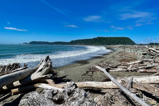 Private Day Hike In The Ozette Triangle