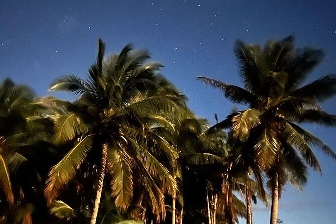 Private Guided Stargazing With BYO Barbecue in Olowalu