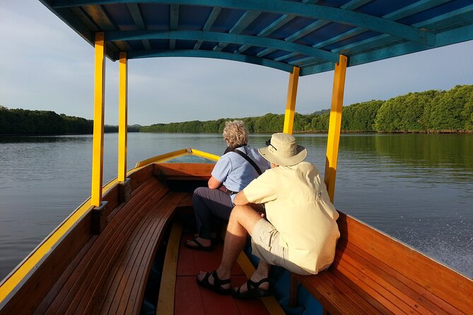 Private Proboscis Monkey & Fireflies Tour
