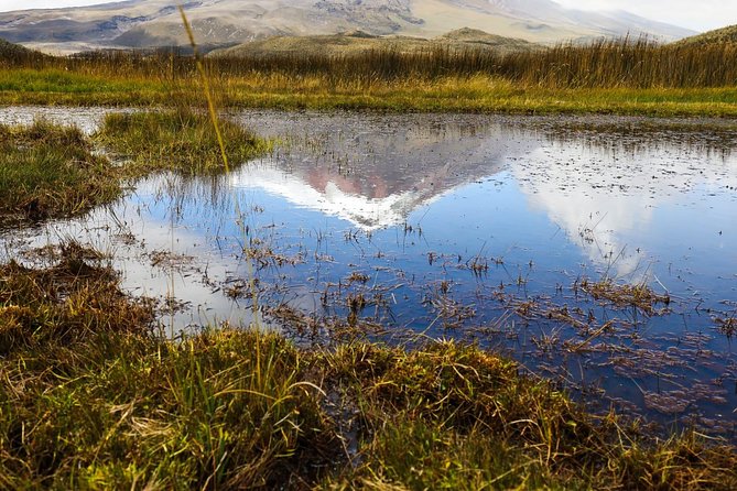 Private Tour Cotopaxi