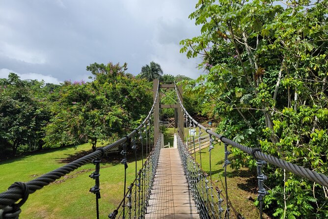 Private Ziplining Tour in Puerto Rico