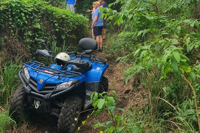 2 Best Quad Bike And ATV Tours In Nevis