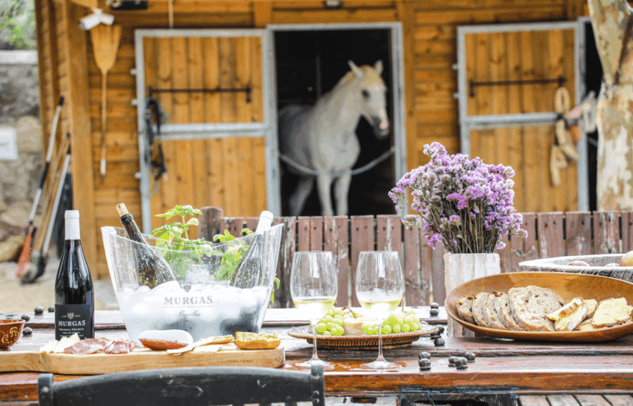 Quinta Das Murgas: Wine Tasting Tour