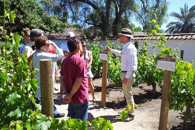 Santa Rita Winery - Tour With Tasting - Overview of the Tour