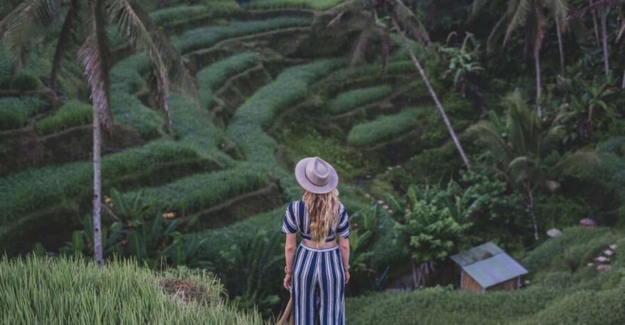 Ubud: Waterfall, Monkey Forest, and Rice Terrace