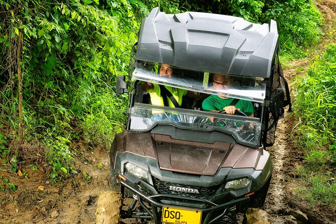 UTV Safari: Explore Wildlife & Nature at Fundación Loros