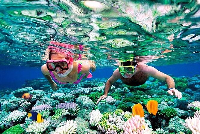 1 Hour Private Snorkeling Activity In Montego Bay - Private Transportation Details