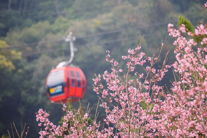 2-Day Sun Moon Lake Tour Review - Pickup and Transportation