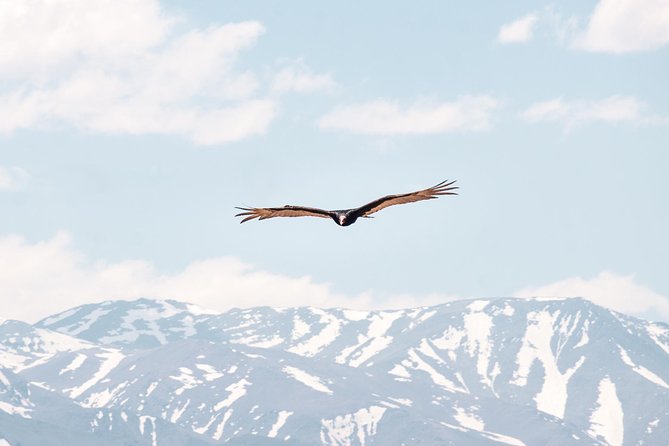 4×4 Private Photo Safari in the Andes – Villavicencio