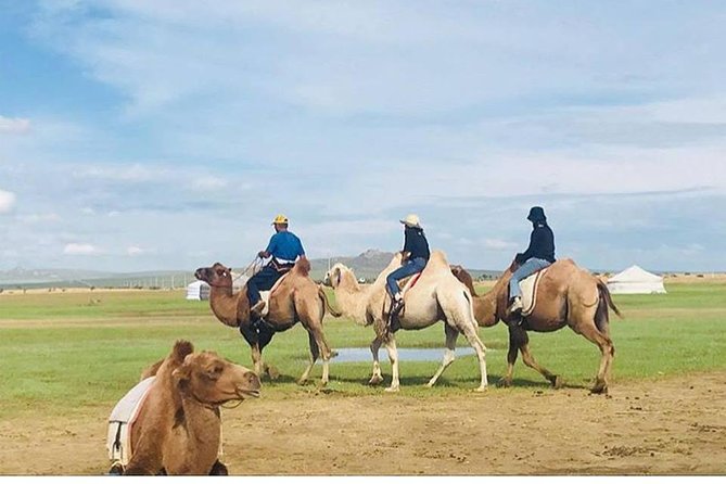 6 Days Private Tour in Gobi Desert