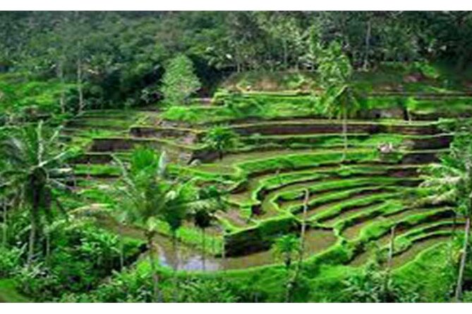 Aling-Aling and Banyumala Waterfall-Bedugul-JatiLuwih GreenLand
