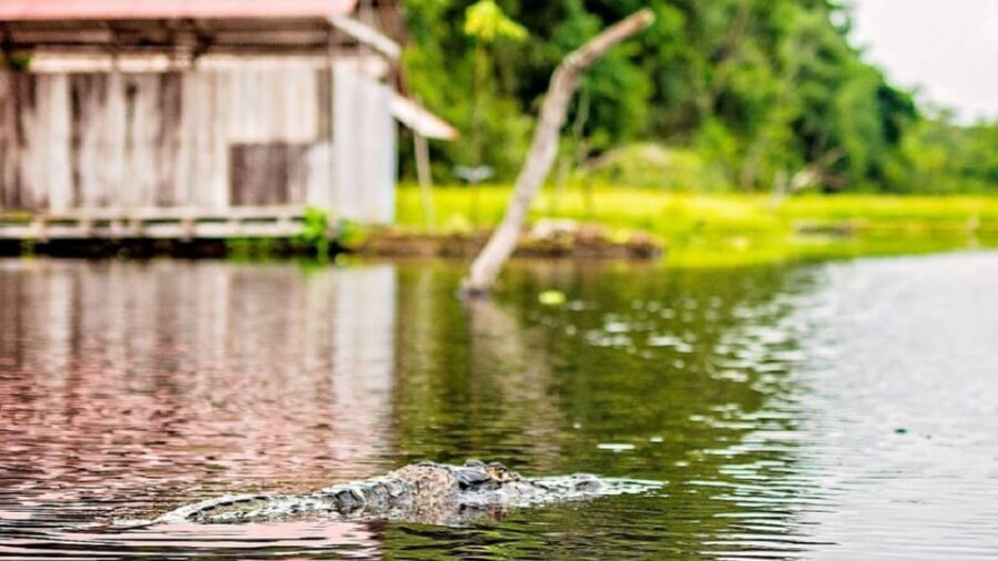 Amazon Plan Camino Del Huito 4 Days and 3 Nights - Tour Overview and Pricing
