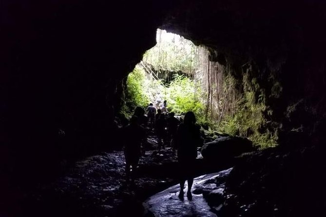Big Island, Hilo : Private Tour : Just for Your Family or Group