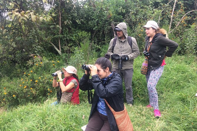 Birdwatching at Monserrate Bogotá 4H