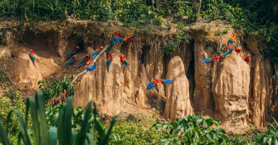 CLALPAS TAMBOPATA INN EXPEDITION 4D/3N