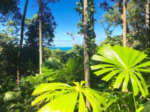 Daintree Magic Holiday House - Property Overview