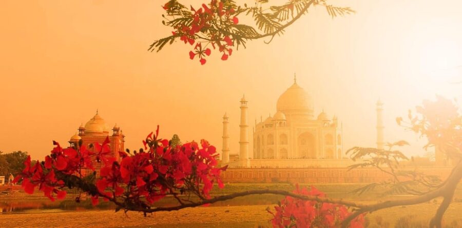 Delhi: Private 3-Day Golden Triangle Experience