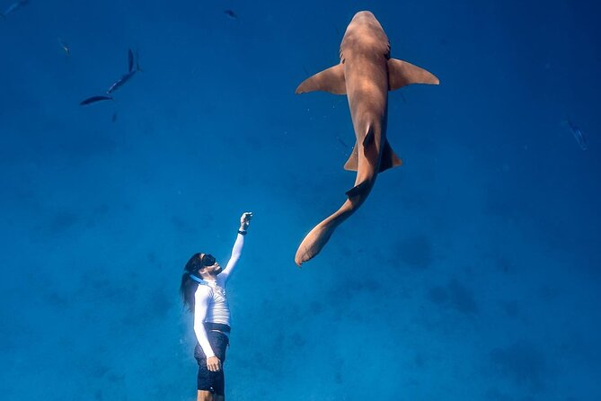 Discover Maafushi in 4 Nights 5 Days (Tour B)