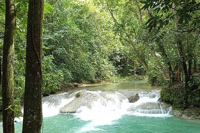 Dominican FLAVOR & COUNTRYSIDE SAFARI Pick-up Included