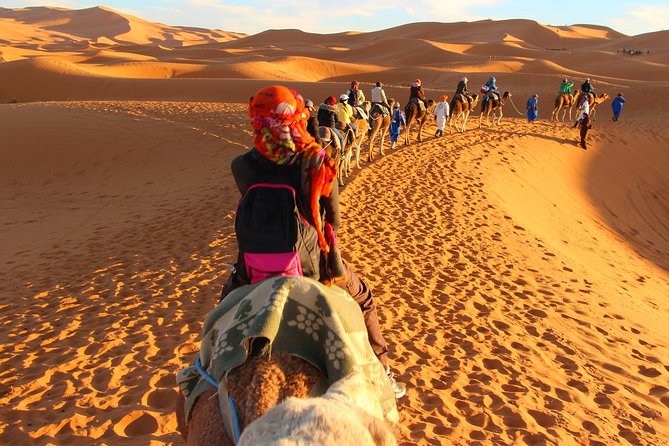 Fez to Marrakech Camel Trekking 3 Days 2 Nights - Overview of the Tour
