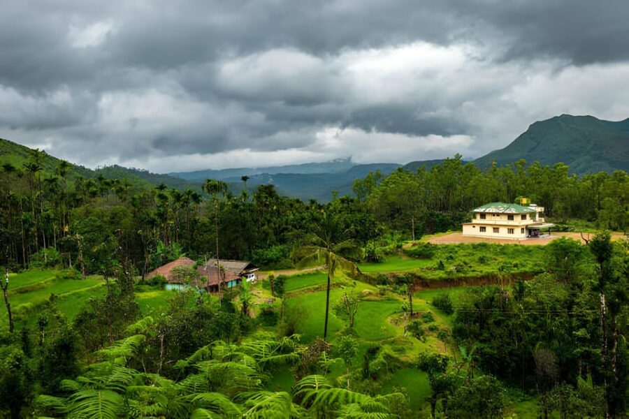 From Cochin: 7 Day Munnar, Thekkady, Alleppey, and Kovalam