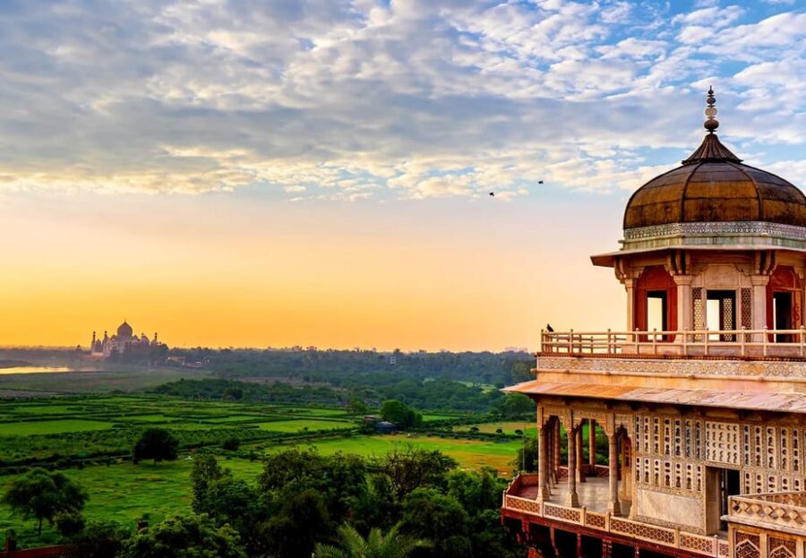 From Delhi:Sunrise Taj Mahal Tour With Elephant Conservation
