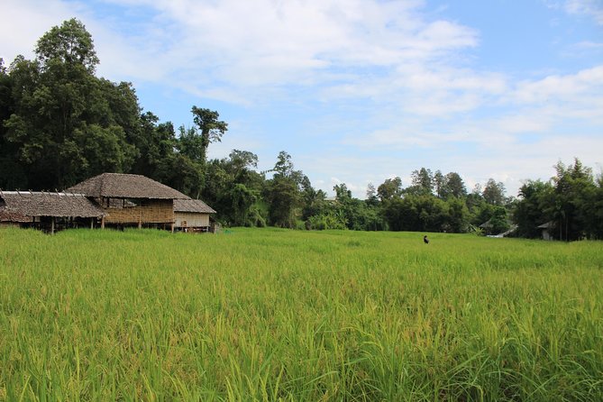 Fruiful Oneday! Trip Outskirt of a City From End to End