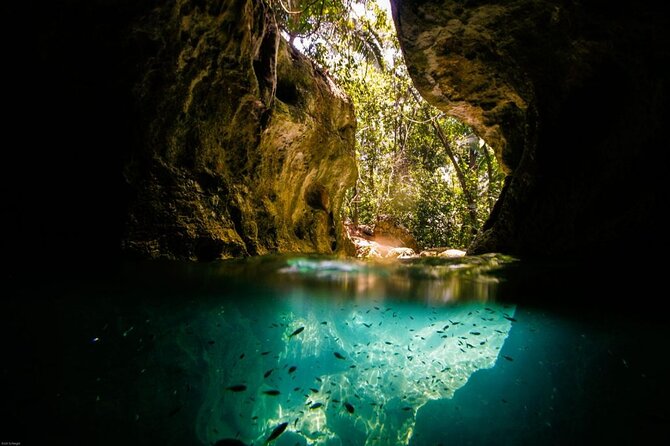 Full Day Cave Tubing and Zip Lining at Jaguar Paw
