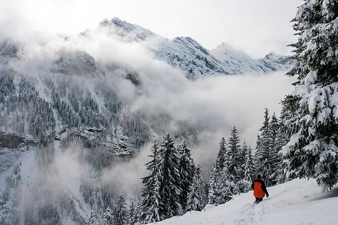 Full Day Private Guided Scenic Train Tour to the Swiss Alps - Inclusions
