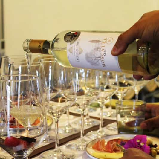 Guanajuato: The Remedios Vineyard